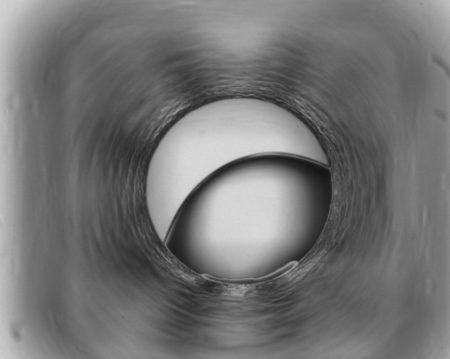 X0000091530096200708170958