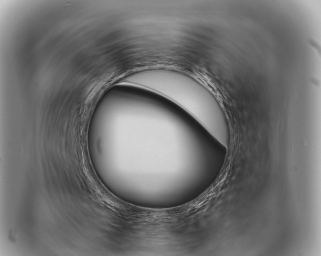 X0000091530097200708170958