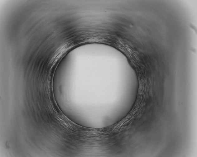X0000091530098200708170958