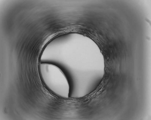 X0000091530100200708170958