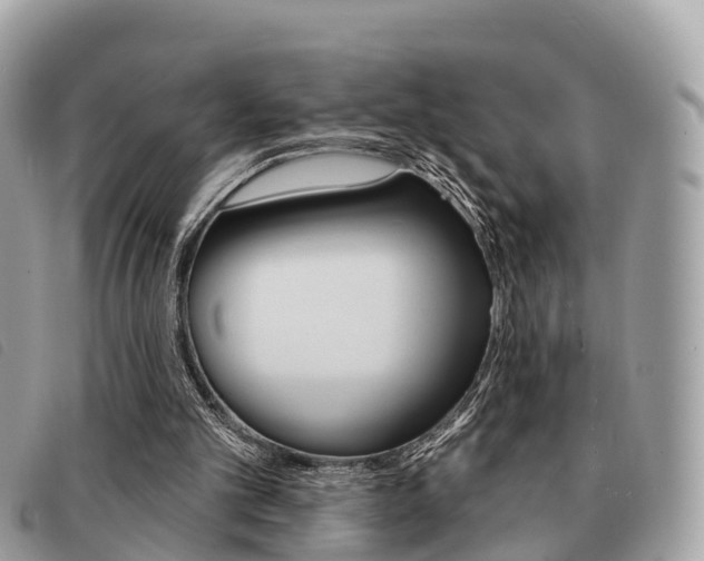 X0000091530101200708170958