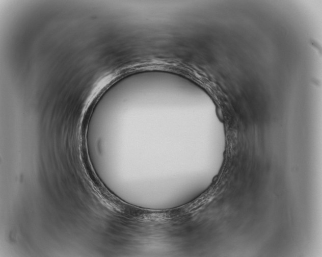 X0000091530102200708170958
