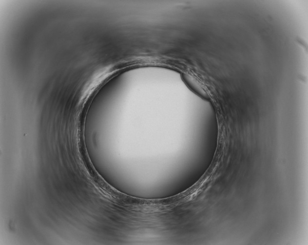X0000091530103200708170958