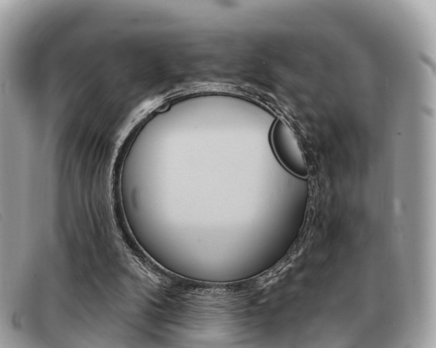 X0000091530104200708170958