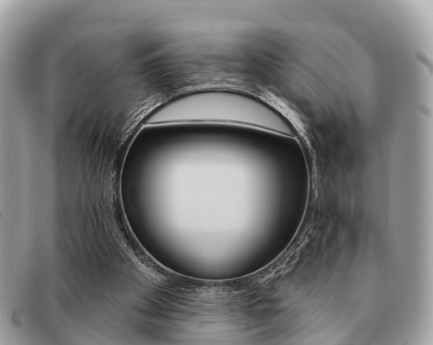 X0000091530105200708170958
