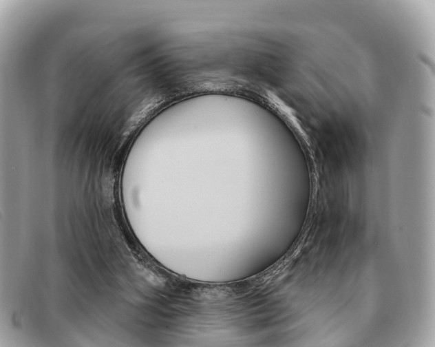 X0000091530106200708170958
