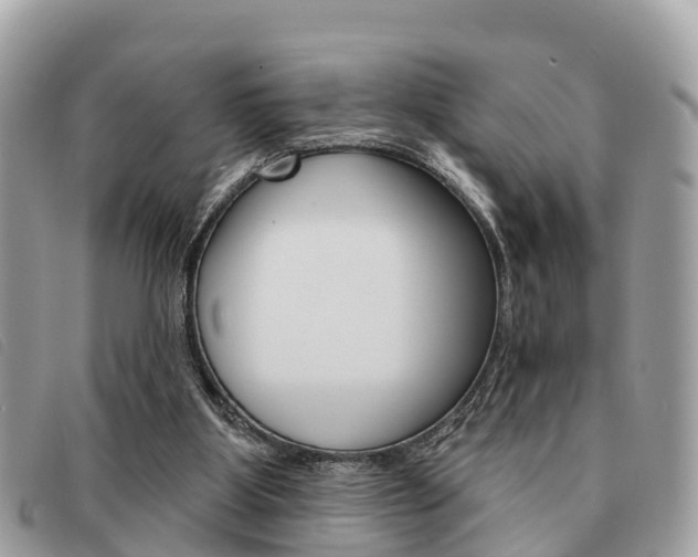 X0000091530107200708170958