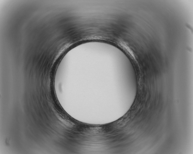 X0000091530108200708170958