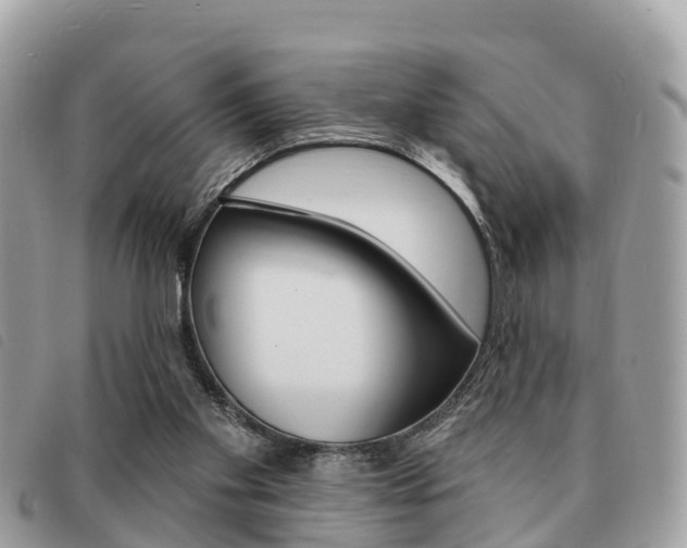 X0000091530109200708170958
