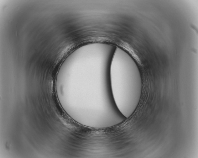 X0000091530110200708170958