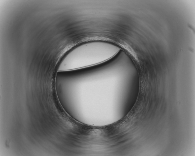X0000091530111200708170958