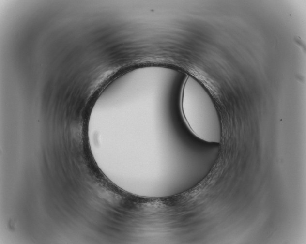 X0000091530112200708170958