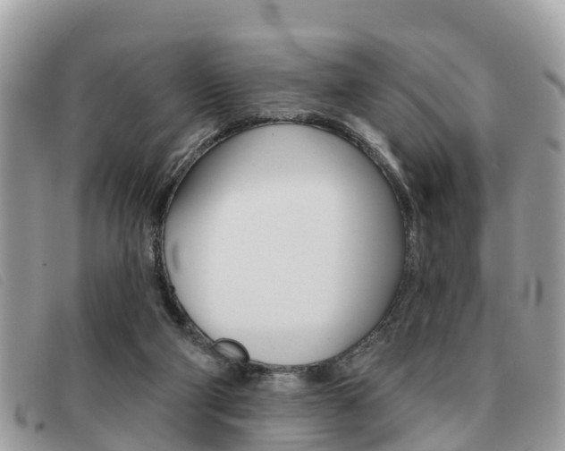 X0000091530114200708170957