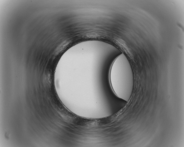X0000091530116200708170957