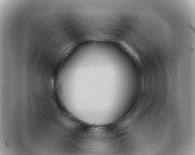 X0000091530117200708170957