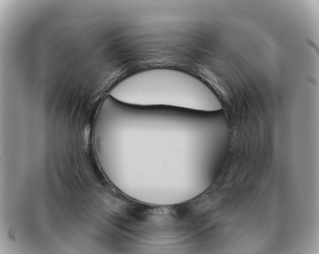 X0000091530118200708170957