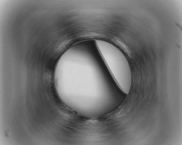 X0000091530119200708170957