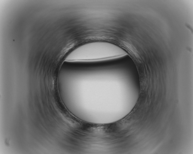X0000091530120200708170957