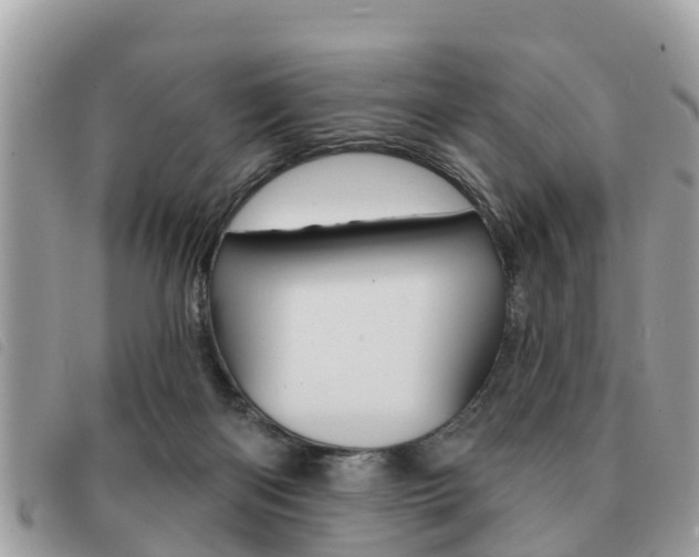X0000091530122200708170957