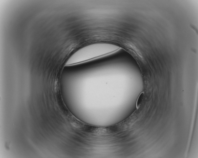 X0000091530123200708170957