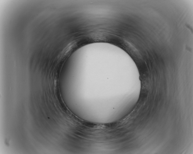 X0000091530124200708170957