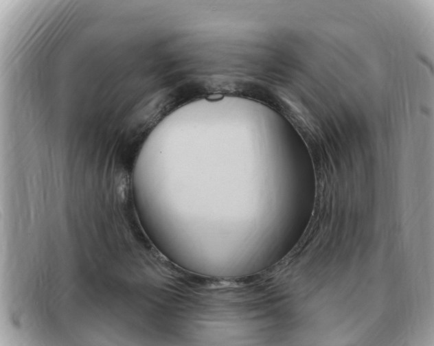 X0000091530125200708170957