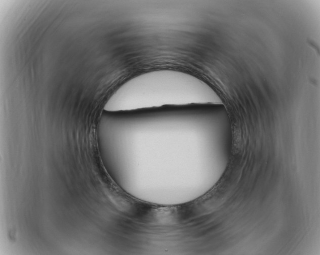 X0000091530126200708170957
