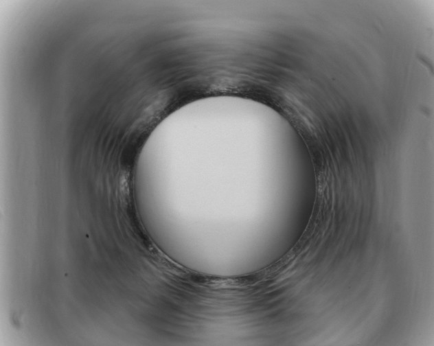 X0000091530127200708170957