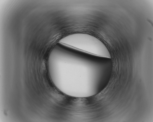 X0000091530128200708170957
