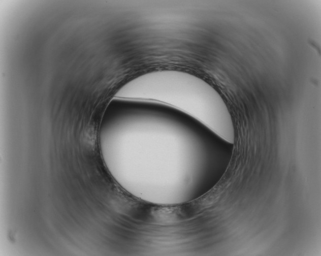 X0000091530129200708170957