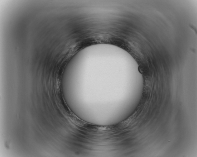 X0000091530130200708170957