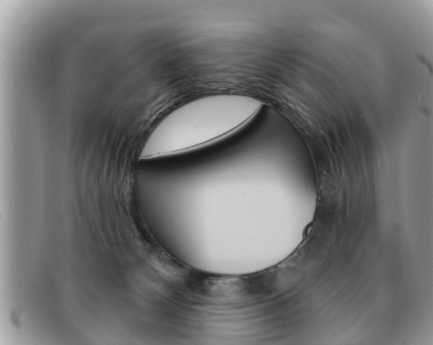 X0000091530132200708170957