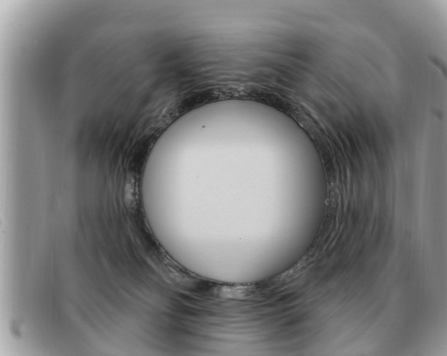 X0000091530134200708170957