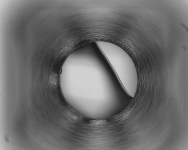 X0000091530135200708170957