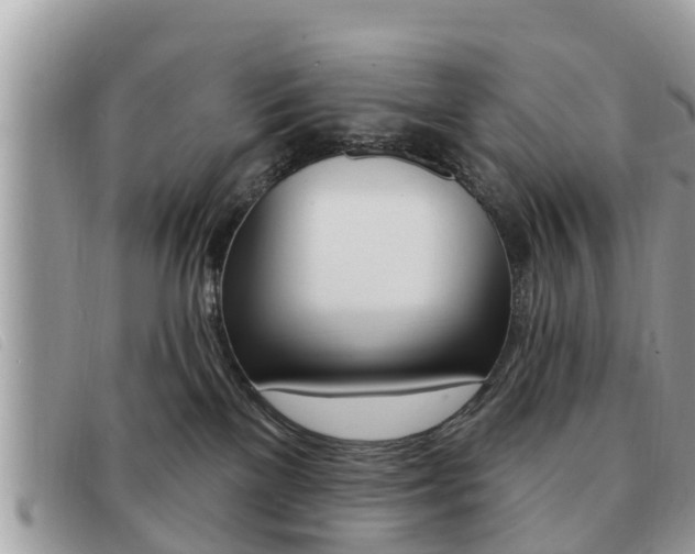 X0000091530137200708170957