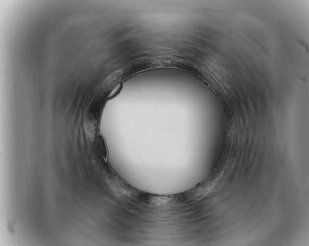 X0000091530139200708170957