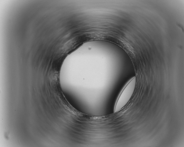X0000091530141200708170957