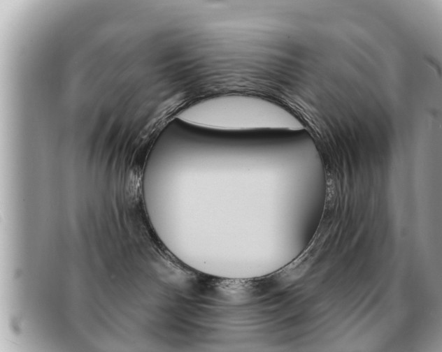 X0000091530142200708170957