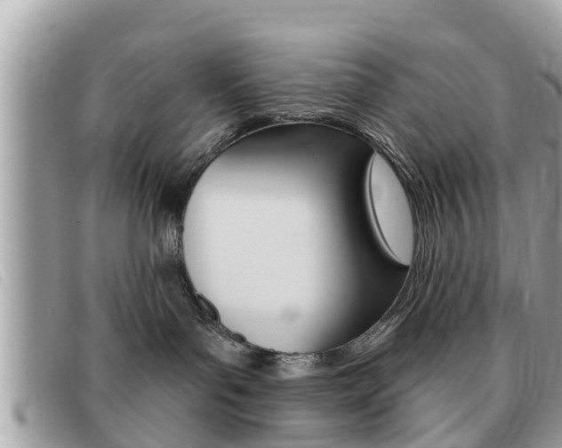 X0000091530143200708170957