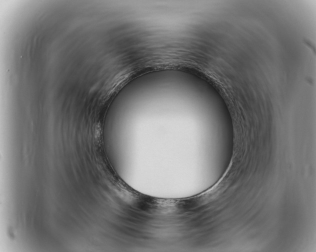 X0000091530144200708170957