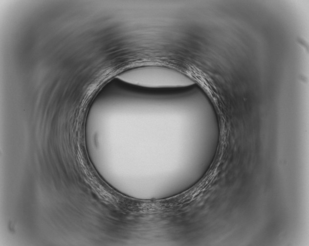X0000091530145200708170956