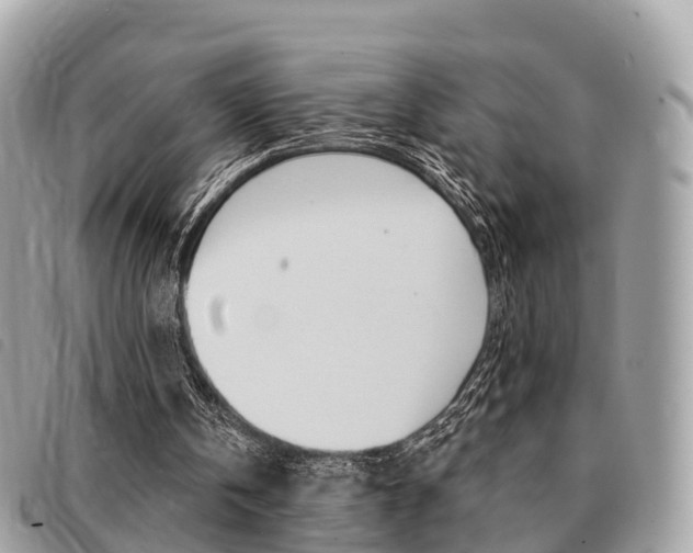 X0000091530146200708170956