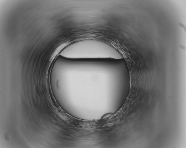 X0000091530147200708170956