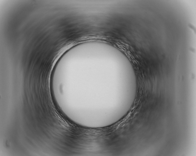 X0000091530148200708170956