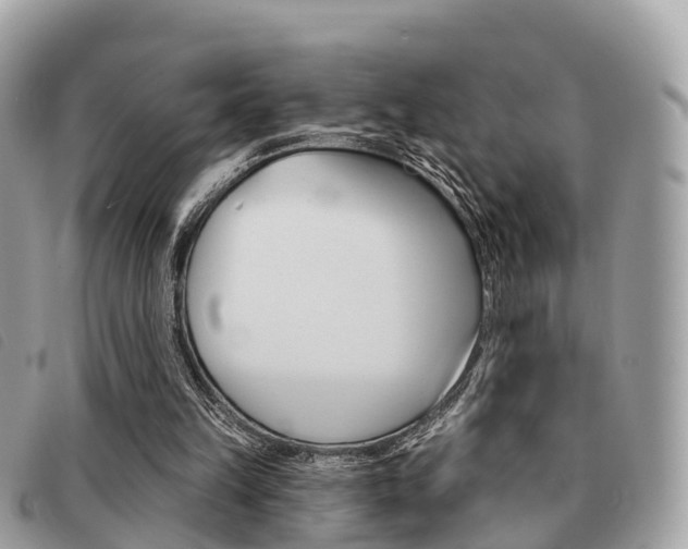 X0000091530149200708170956