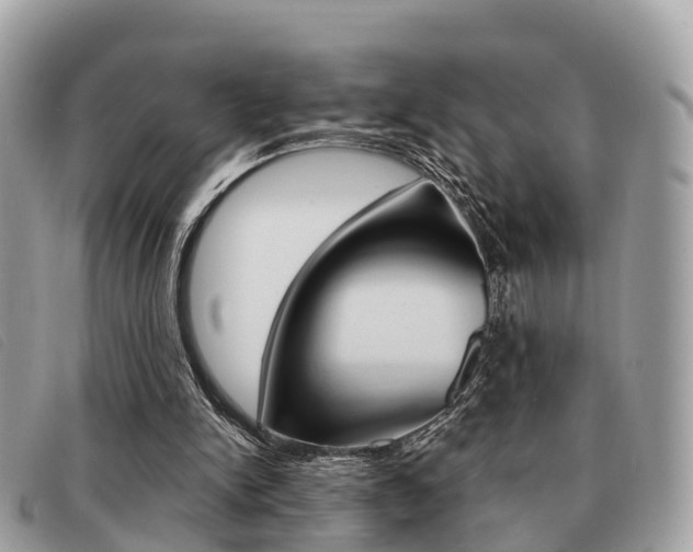 X0000091530150200708170956