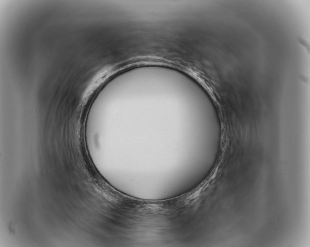 X0000091530151200708170956