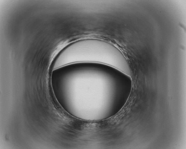 X0000091530152200708170956