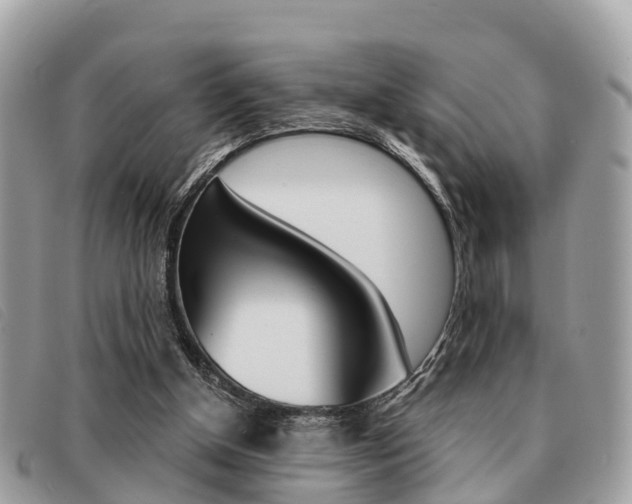 X0000091530154200708170956