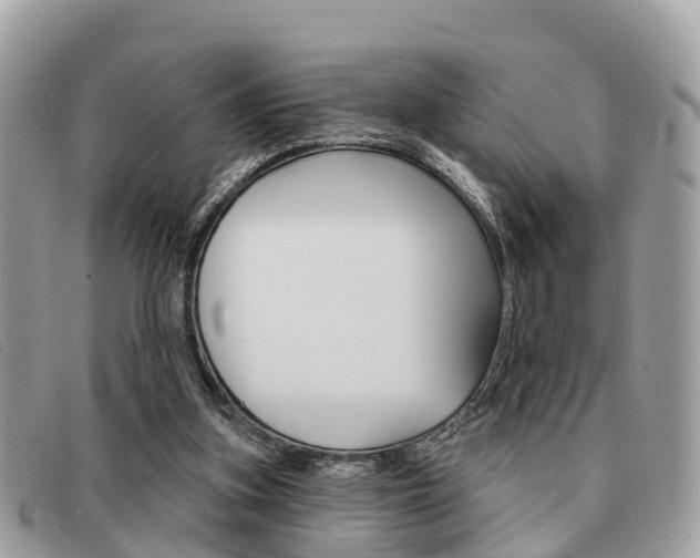 X0000091530155200708170956